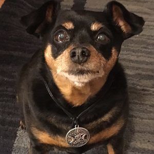 Meet your Posher, Danny